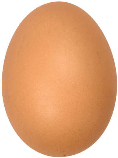 Floating egg 1
