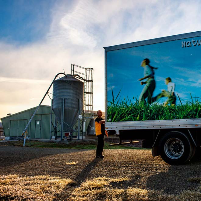 Truck driver opening rear egg delivery truck